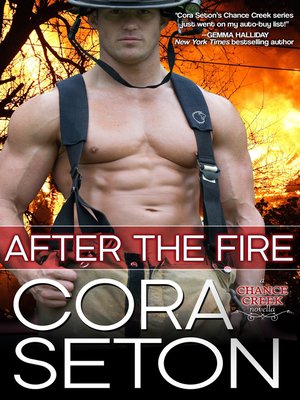 cover image of After the Fire